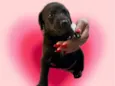 Théo bb50dias lindo