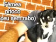 Sem nome