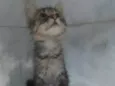 ........