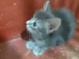 ........