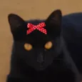 Sofia 