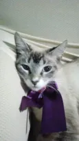 Princesa