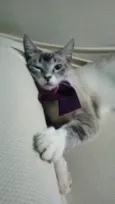 Princesa