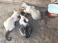 Para Doação