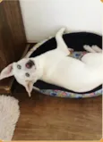 Maggie