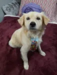 Woody
