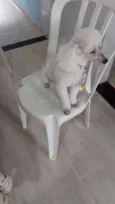 Bob