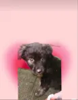 Pandora bb3meses