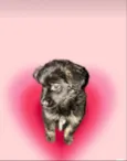 Pandora bb3meses