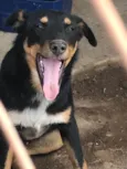 Jack