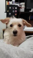 Ayla