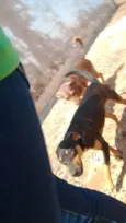 Pandora e ana