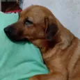 Artemis