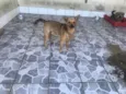 Paçoca II