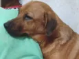 Artemis