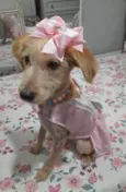 Zoe