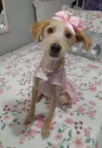Zoe