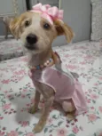 Zoe