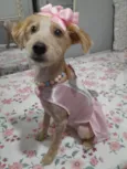 Zoe