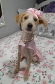 Zoe