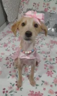 Zoe