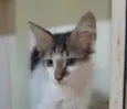 .....