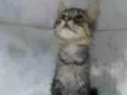 ........