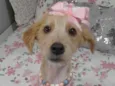 Zoe