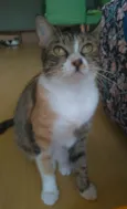 TYNNA