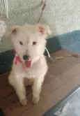 Sandy