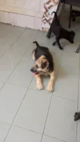 Nina