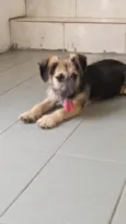 Nina