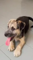 Nina