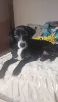 Xena