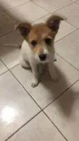 Nina