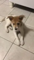 Nina