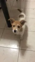 Nina