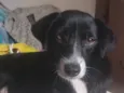 Xena