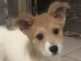 Nina