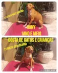 Hany