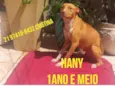 Hany