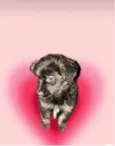 Pandora bb3meses