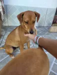 Não informado