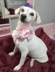 Duda