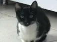 Mia