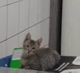 Maluco Beleza