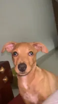 Lua