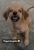 Vicky