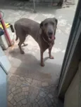 Xaquira