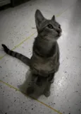 Tita